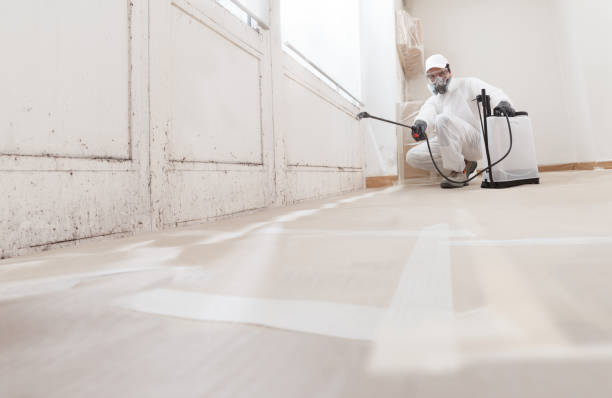 24/7 Emergency Mold Removal experts in Maplewood, NJ